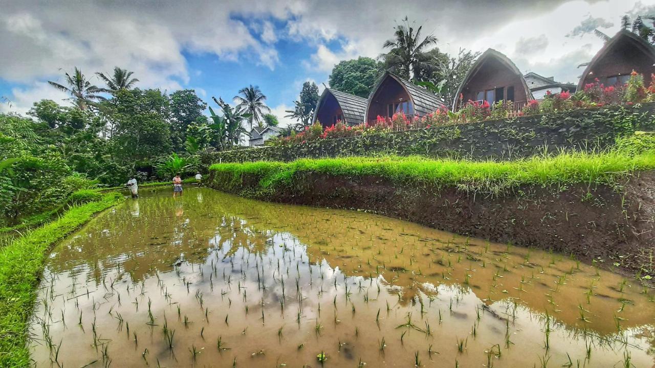 Готель Omah Bapak Ijen Eco House Licin Екстер'єр фото