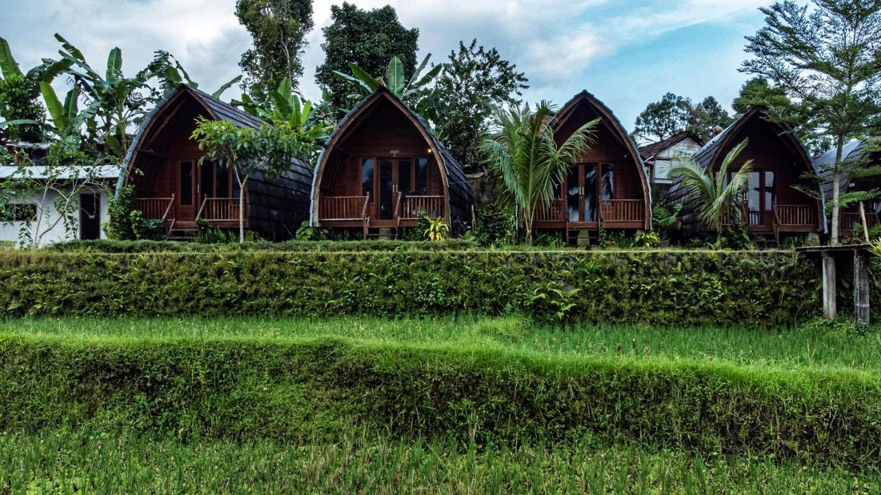 Готель Omah Bapak Ijen Eco House Licin Екстер'єр фото